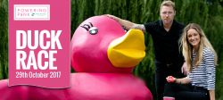 powering pink duck race