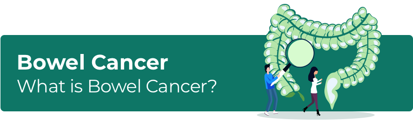 What is Bowel Cancer